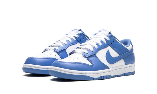 Nike Dunk Low Polar Blue